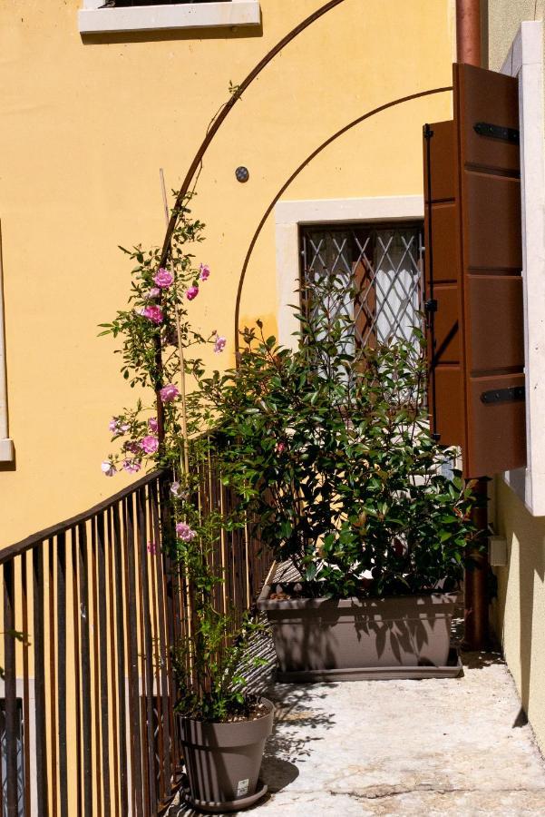 Regi Apartments Pacengo Di Lazise Екстериор снимка
